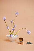 Load image into Gallery viewer, Ikebana Kit
