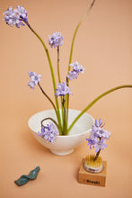 Load image into Gallery viewer, Ikebana Kit
